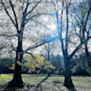 Meet your Posher, Shawn